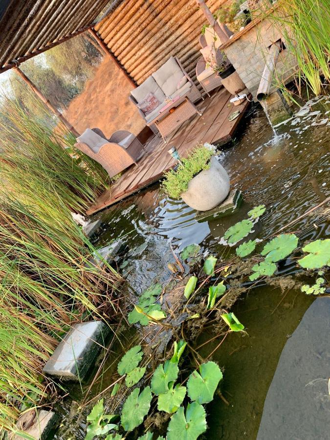 Rak Glamping Otel Resü'l-Hayme Dış mekan fotoğraf