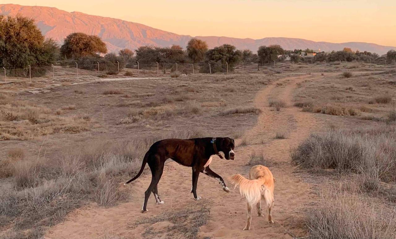 Rak Glamping Otel Resü'l-Hayme Dış mekan fotoğraf