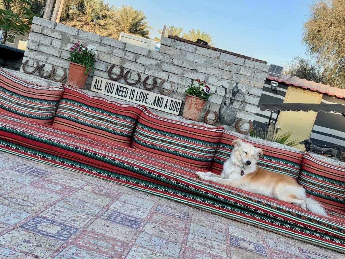 Rak Glamping Otel Resü'l-Hayme Dış mekan fotoğraf