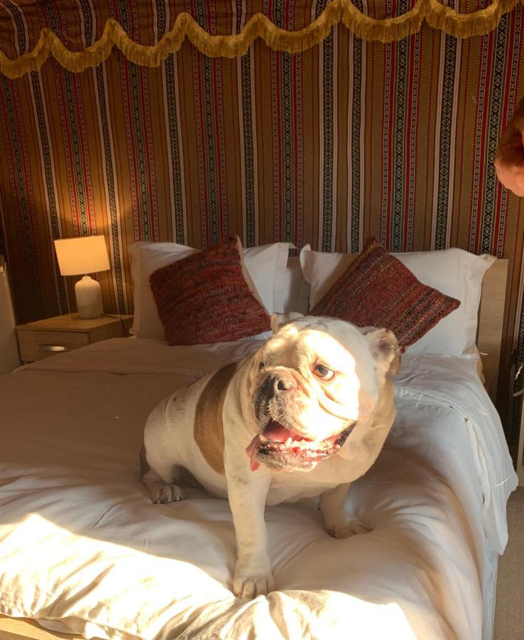 Rak Glamping Otel Resü'l-Hayme Dış mekan fotoğraf
