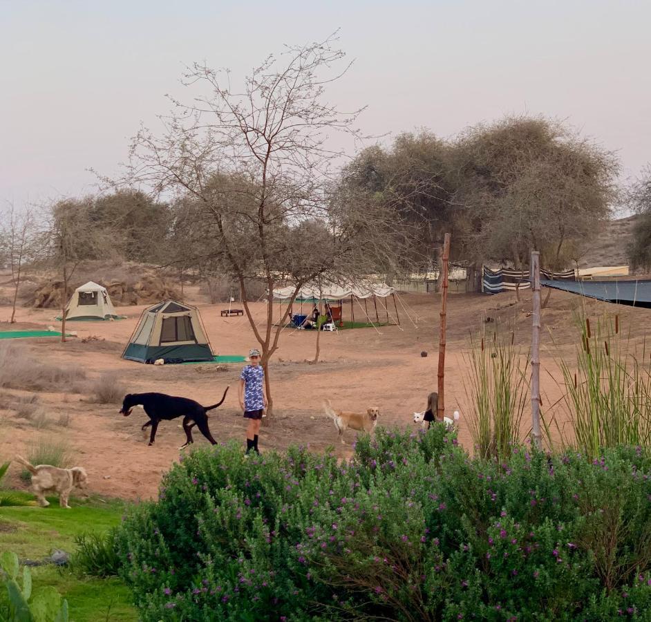 Rak Glamping Otel Resü'l-Hayme Dış mekan fotoğraf