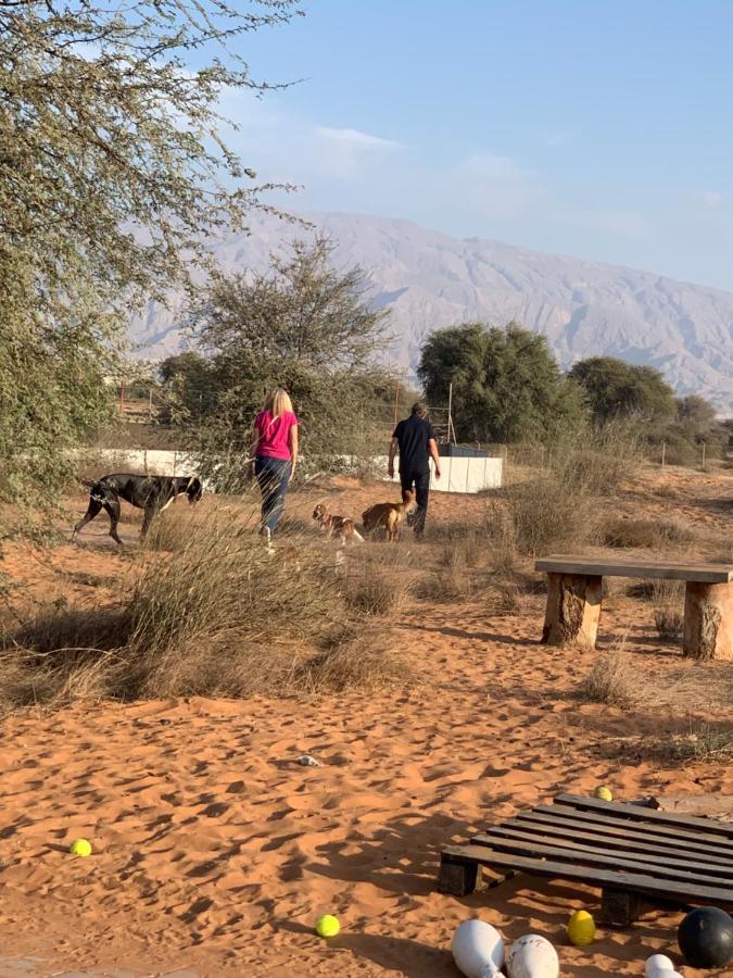 Rak Glamping Otel Resü'l-Hayme Dış mekan fotoğraf