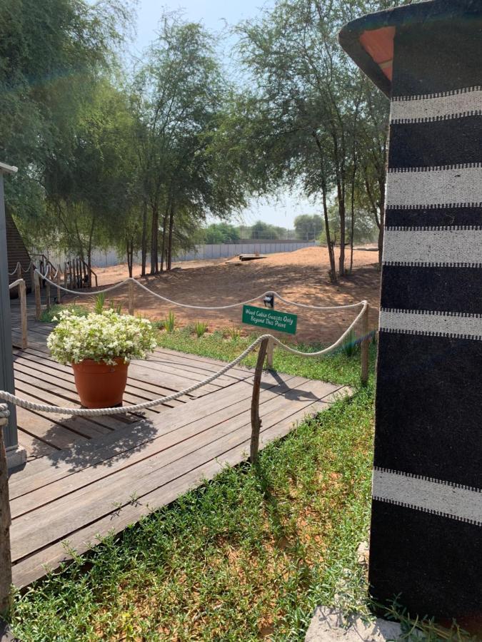 Rak Glamping Otel Resü'l-Hayme Dış mekan fotoğraf