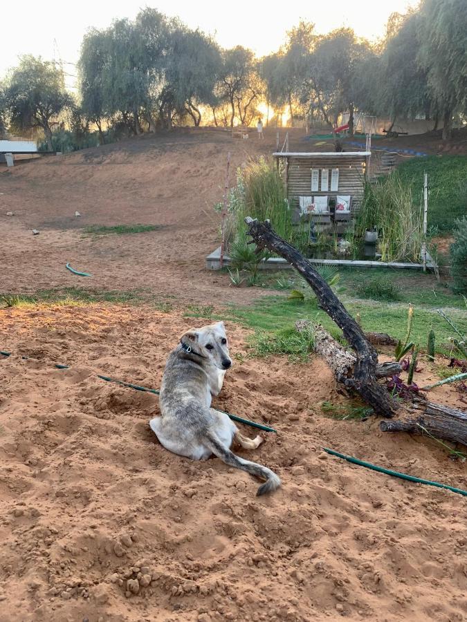 Rak Glamping Otel Resü'l-Hayme Dış mekan fotoğraf